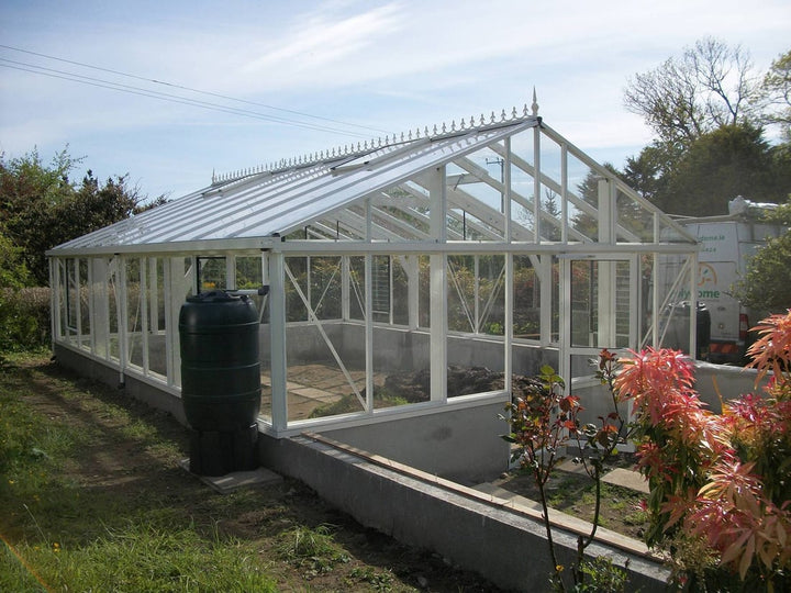 Jansens Profesional Gigant Greenhouses 14x14 Janssens Gigant Victorian Greenhouse