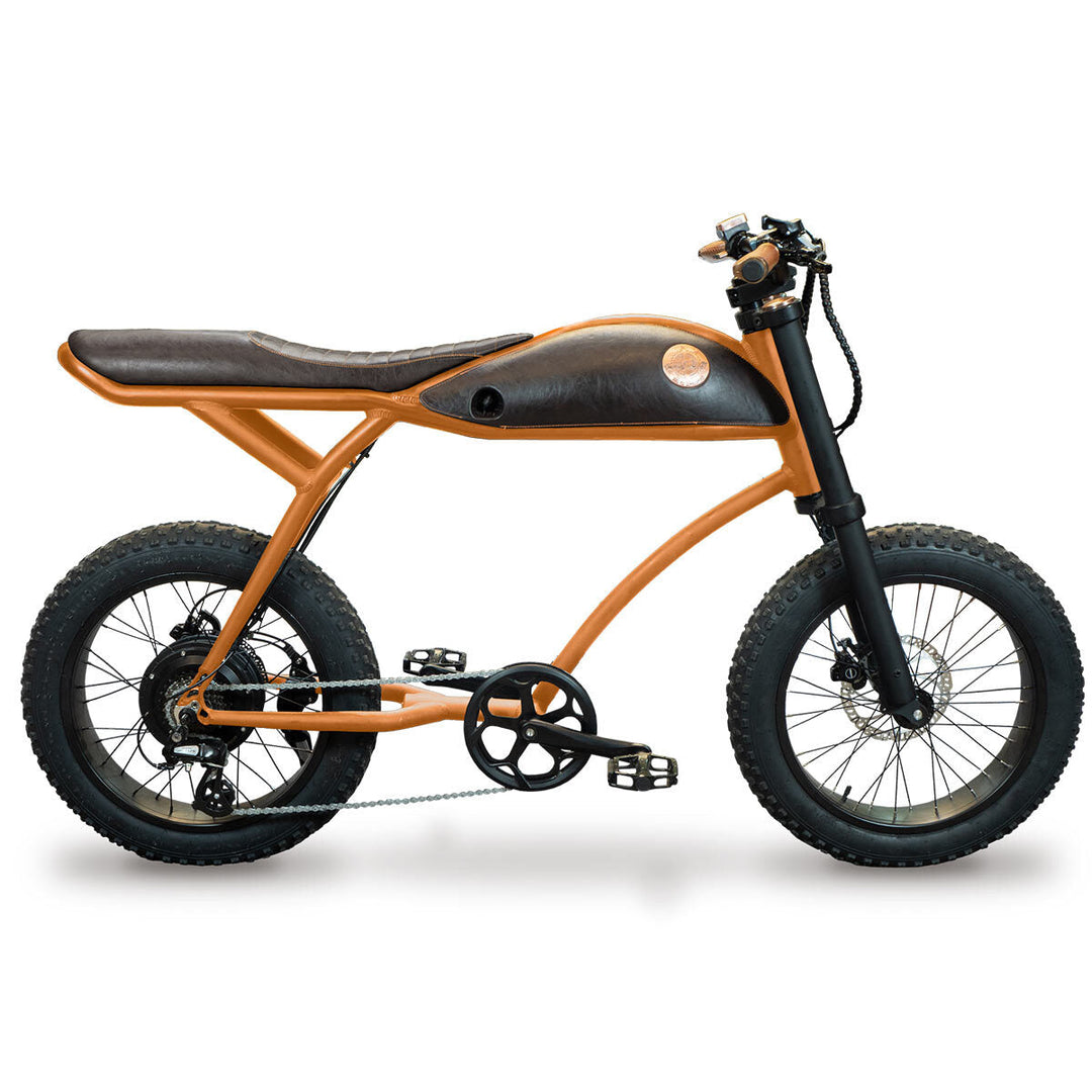 Rayvolt ringo e-bike lights leather bag set assistance first inspection