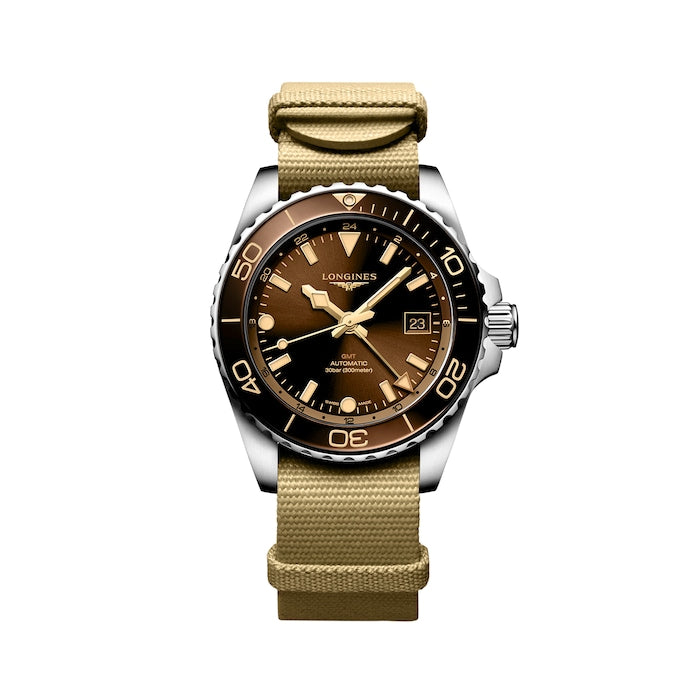 Hydroconquest 41mm Mens Watch Brown