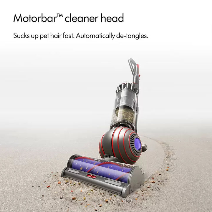 Dyson Ball™ Animal Upright Vacuum Cleaner with Whole Home Cleaning Kit