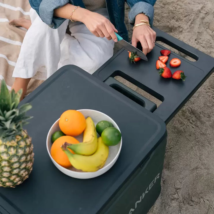 Anker EverFrost 30L Electric Powered Cooler