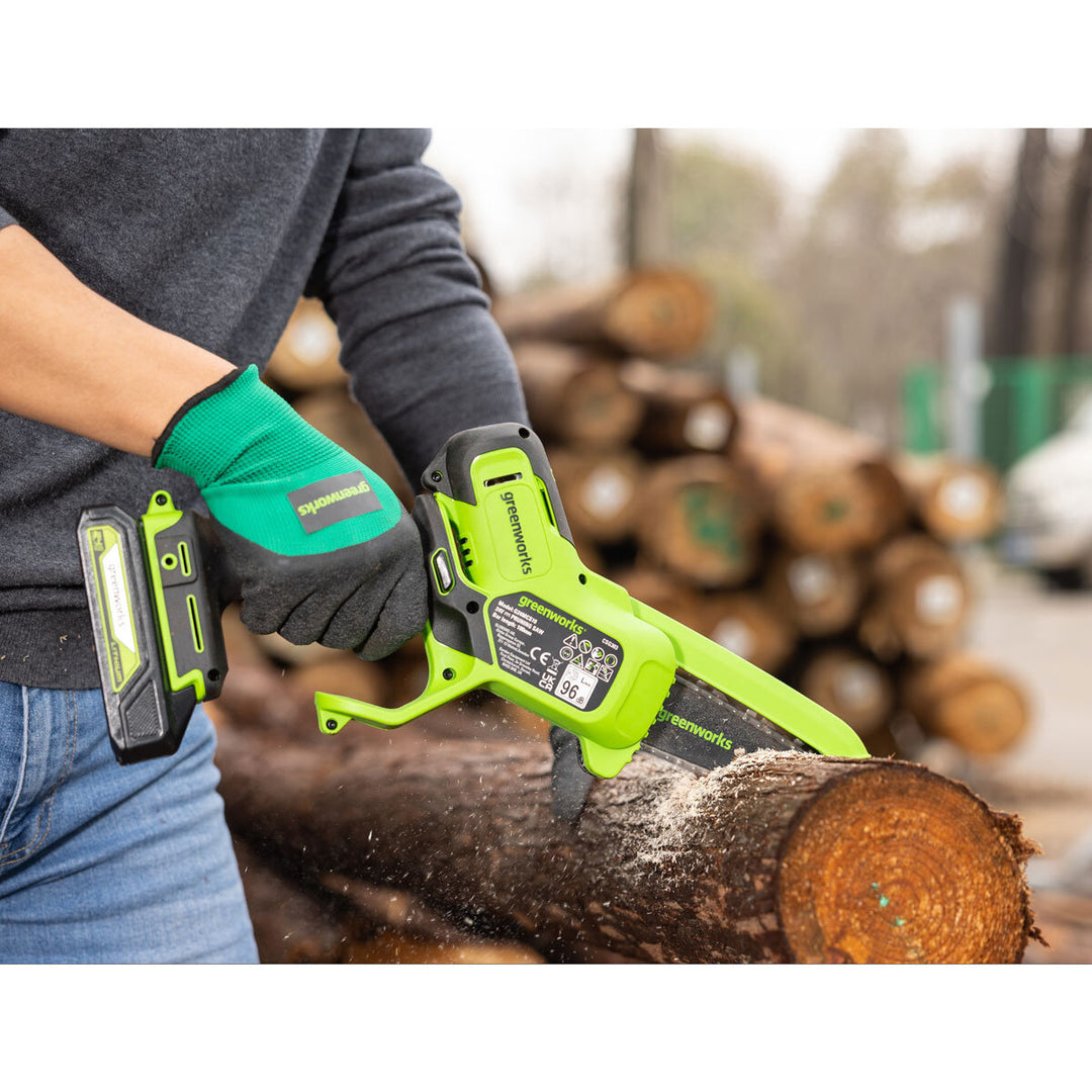 Greenworks 24V 20cm Cordless Pruner 1 x 24V (2Ah) Battery and Charger Bundle