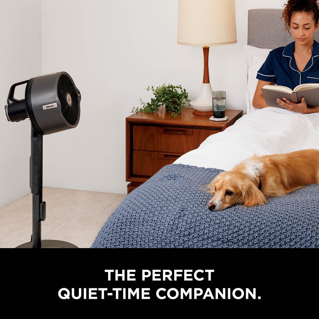 Shark FlexBreeze Pro Mist Indoor & Outdoor Fan & Outdoor Misting System, FA300UK