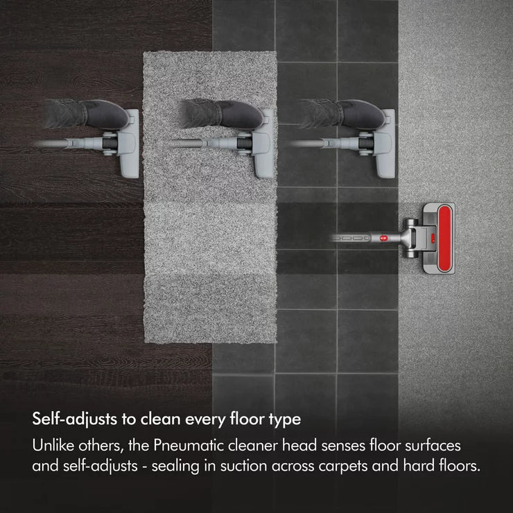 Dyson Big Ball Animal 2 Cylinder Vacuum