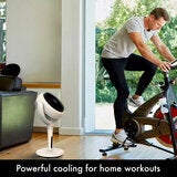 AirCraft LUME Ultra Quiet 2 in 1 Air Circulator Fan With Remote &amp; LED Backlight in Stone White