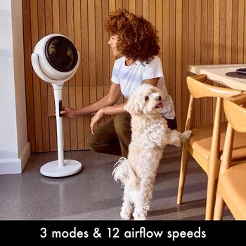 AirCraft LUME Ultra Quiet 2 in 1 Air Circulator Fan With Remote &amp; LED Backlight in Stone White