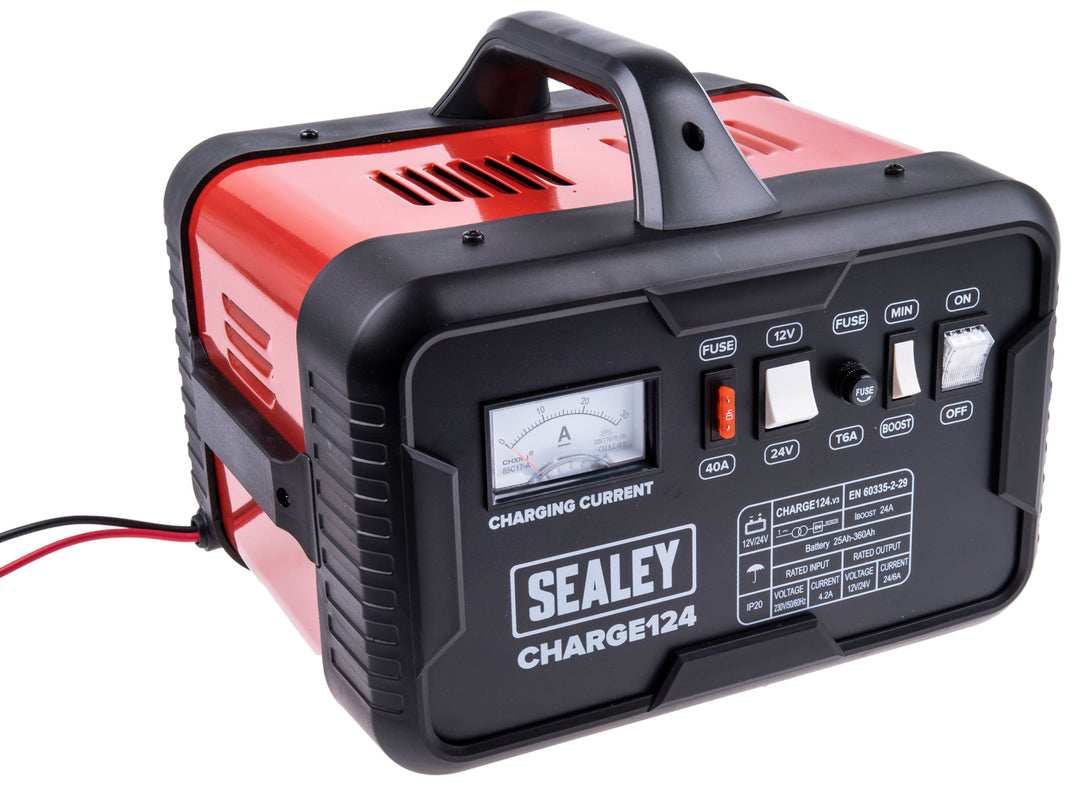 TieDex UK Battery Charger For 12V, 24 V, Lead Acid 28 A with UK plug, 1 Automotive