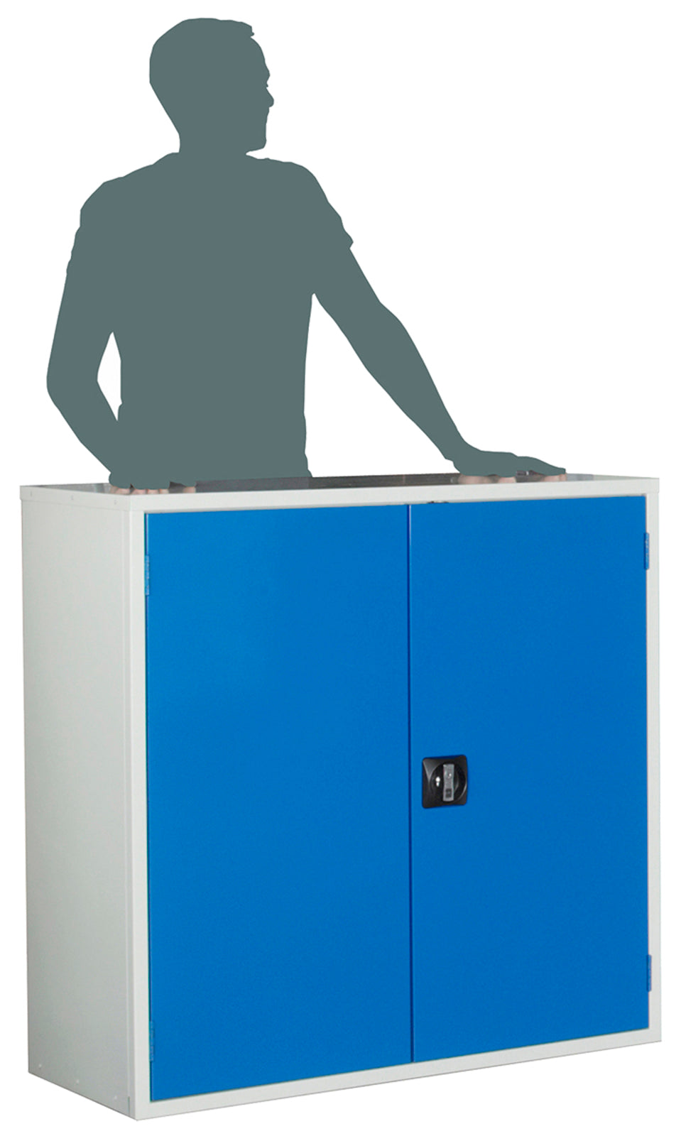 TieDex UK Steel Floor Standing Storage Cabinet 1 m 1.02m, 430 mm