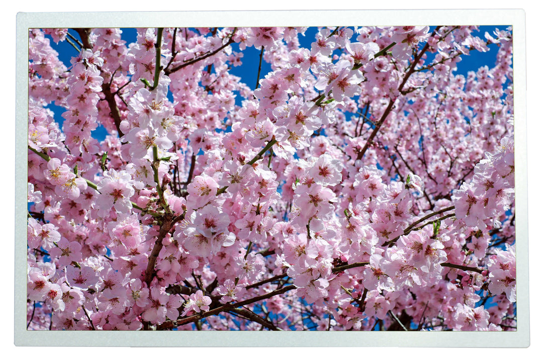 TieDex UK TFT LCD Display Touch Screen, 12.1 in, 1280 x 800 pixel