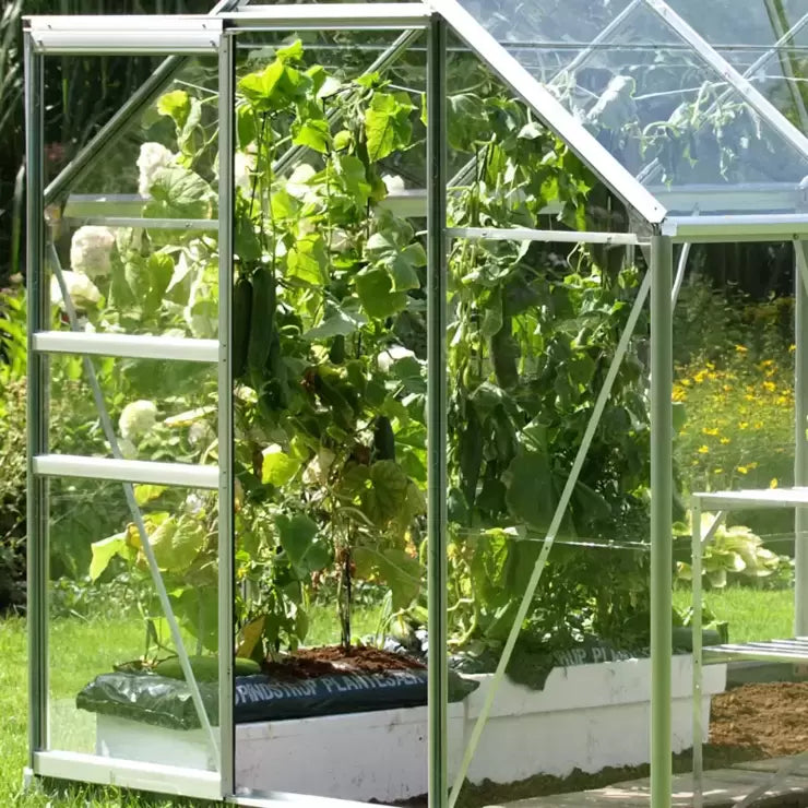 Vitavia Vermont 6200 6ft 2" x 10ft 4" (2 x 3.2 m) Greenhouse Package